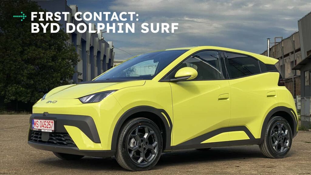 dolphin-surf.jpg